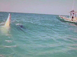 Boating Accident