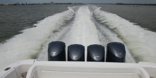 Intrepid 475