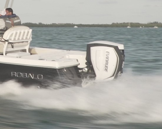 Robalo 246 Cayman max horsepower