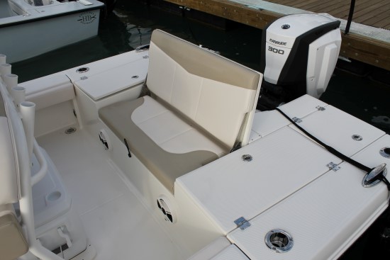 Robalo 246 Cayman SD stern seat up
