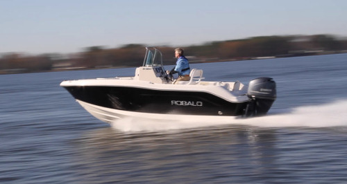 Robalo R180