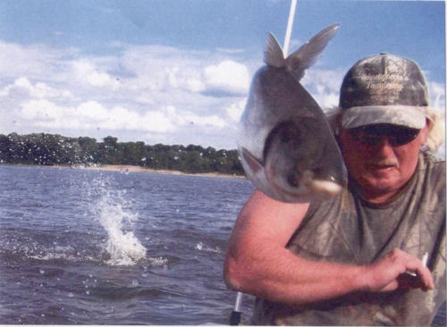 Asian Carp