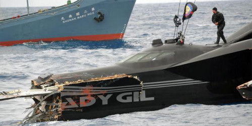 Whale Wars