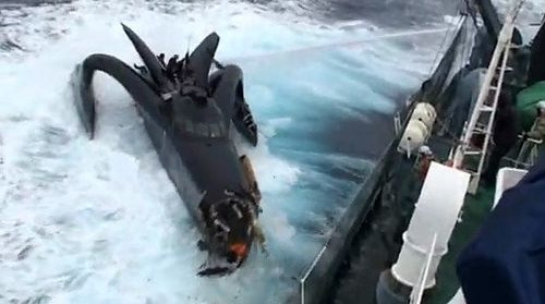 Whale Wars