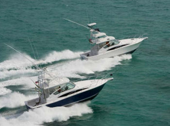 Bertram 360