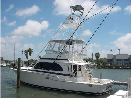 Bertram 46