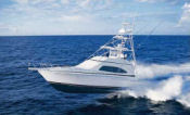 Bertram 510