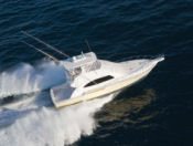 Bertram 510