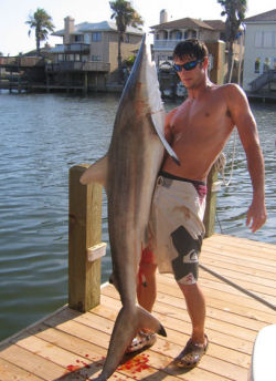 Fish Magnet