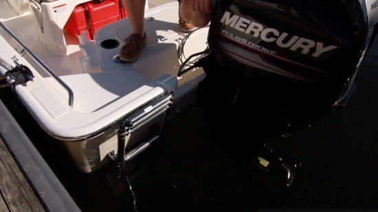 Boston Whaler 150 Montauk Reboarding Ladder
