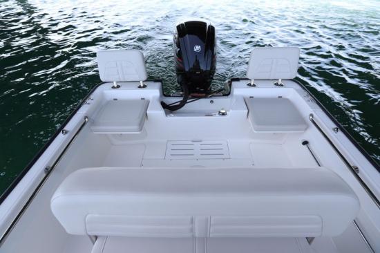 Boston Whaler 170 Montauk boarding steps