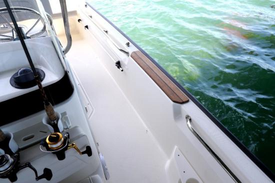 Boston Whaler 170 Montauk grab rails