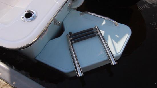 Boston Whaler 170 Montauk ladder
