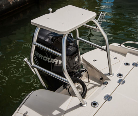 Boston Whaler 240 Dauntless All Activity Tower