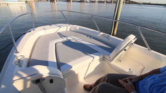 Boston Whaler 240 Dauntless Chaise