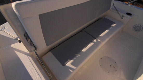 Boston Whaler 240 Dauntless Stainless Steel Struts