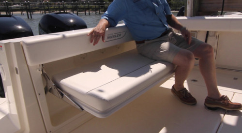 Boston Whaler 315 Conquest