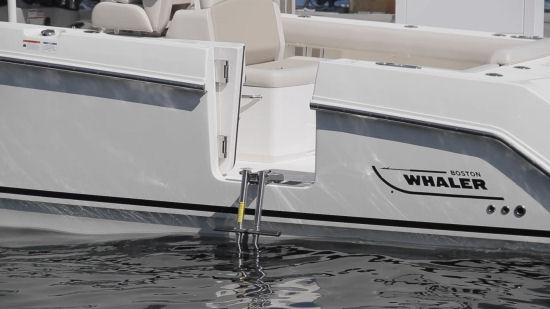 Boston Whaler 330 Outrage dive ladder
