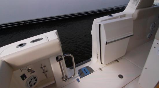 Boston Whaler 350 Realm dive door