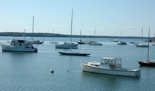 Buck's Harbor
