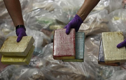 Drug Bust