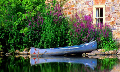 Canoe