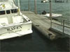 Capt Steve - Aids to Navigation - Buoy - Mooring ()