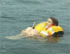 Capt Steve - Aids to Navigation - Range Markers ()