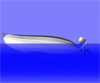 Capt Steve - Aids to Navigation - Buoy - Mooring ()