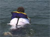 Capt Steve - Aids to Navigation - Range Markers ()