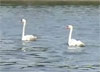 Capt Steve - Aids to Navigation - Range Markers ()