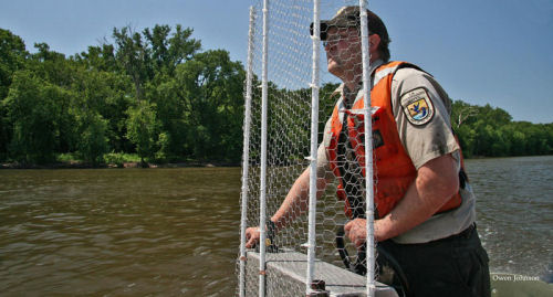 Carp Dangers