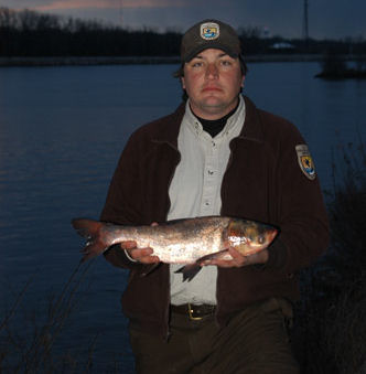 Carp Dangers