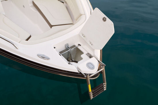 Chaparral 227 SSX beach ladder
