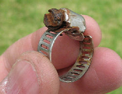 Hose Clamp