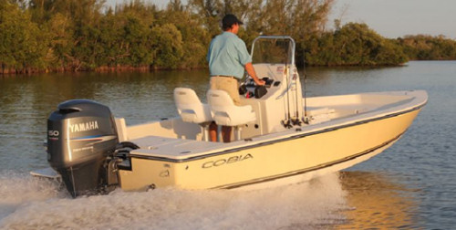 Cobia 21 Bay