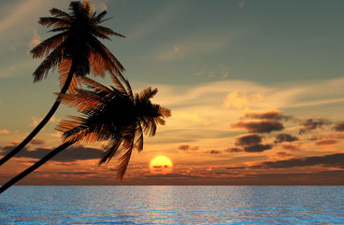 Don't Give up the Cruising Dream! sunset