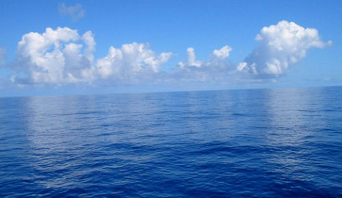 Don't Give up the Cruising Dream! summer