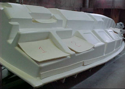 Doral Mold