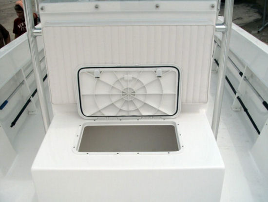 Dusky 252 Open Fisherman console locker
