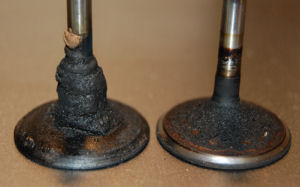 Ethanol Transmitted Disease