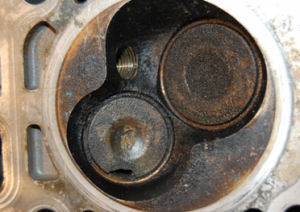 Ethanol Transmitted Disease