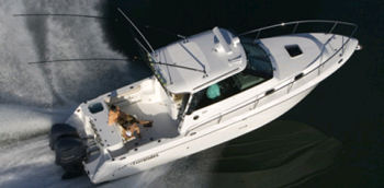 Everglades 32' Express