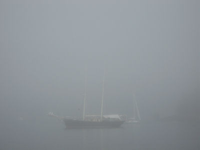 Fog