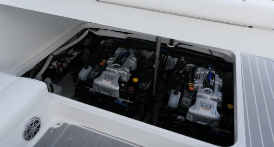 Formula 350 Sun Sport engine