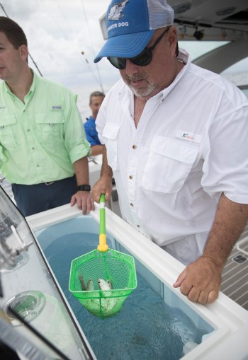 Formula 430 All Sport Crossover livewell