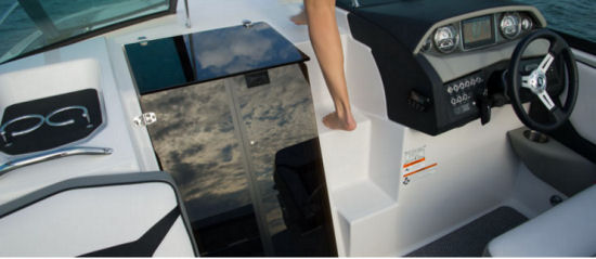 Four Winns Vista V255 steps