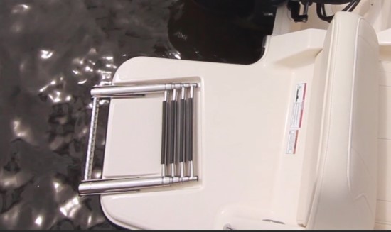 Grady-White Fisherman 216 ladder