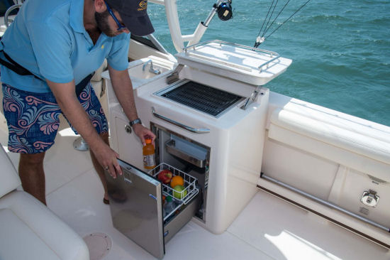 Grady-White Freedom 275 wet bar