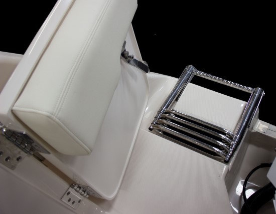 Grady-White Marlin 300 ladder